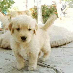 Meet your Posher, Maddie